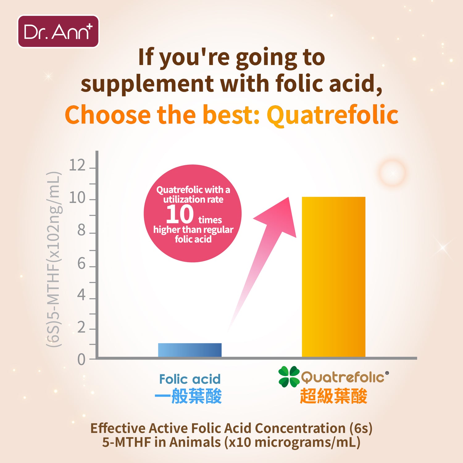 Dr. Ann Folic Acid - 60 Capsules