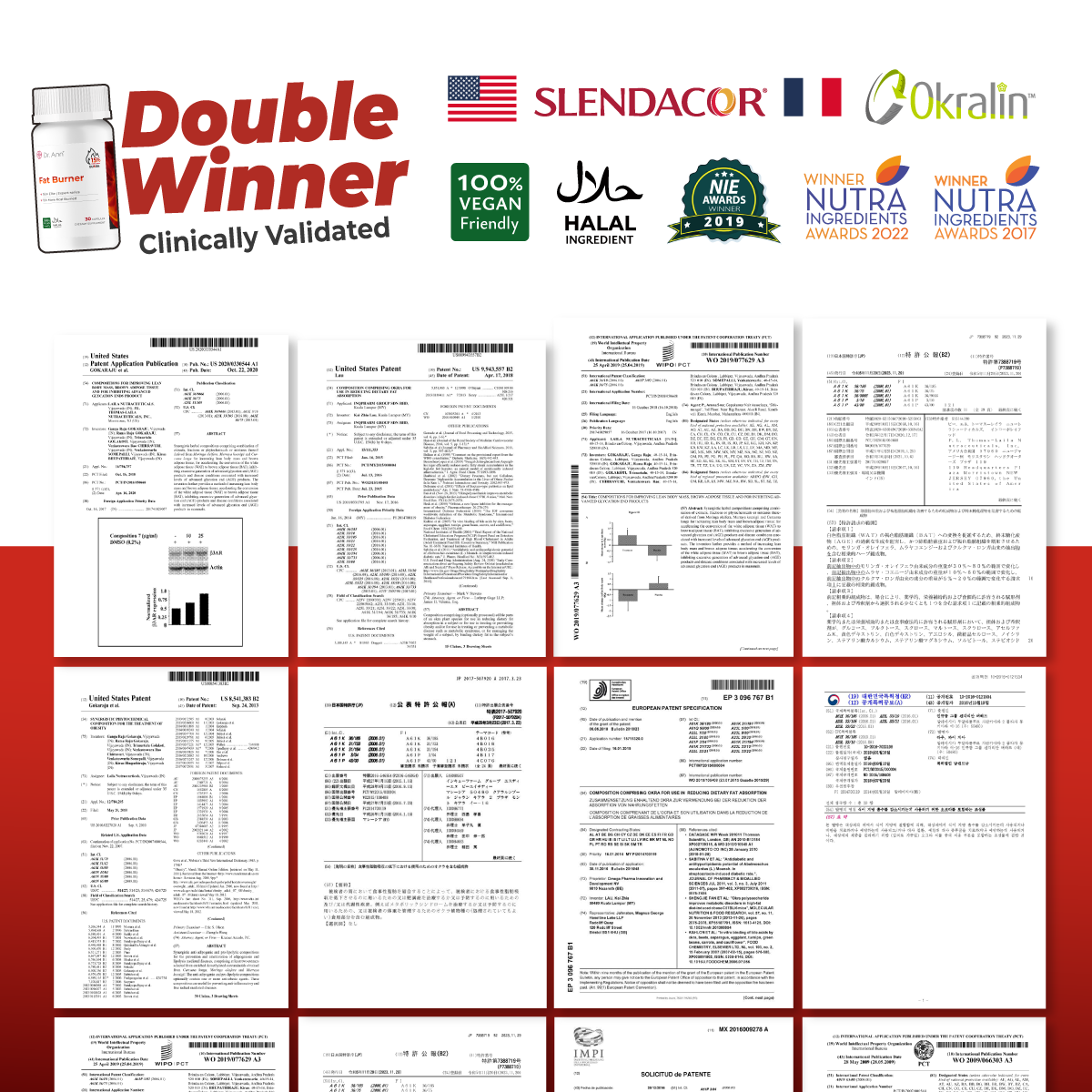 Dr. Ann Fat Burner Slimming Supplement for Weight Loss - 30 Capsules