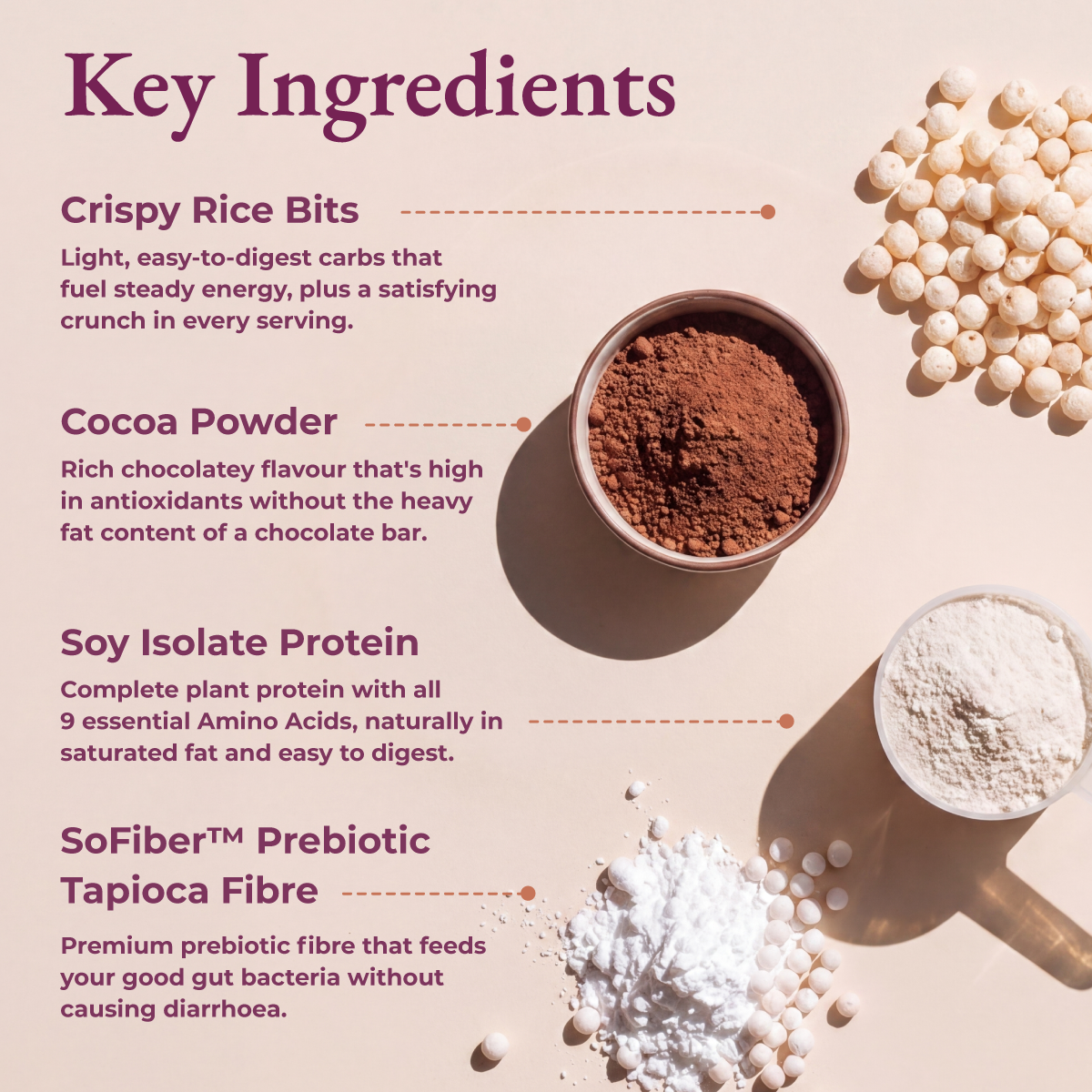 Chocolate Meal Replacement Shake