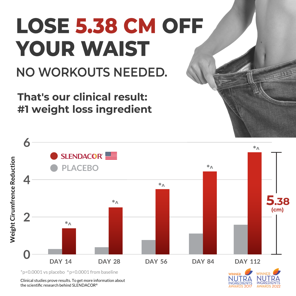 Dr. Ann Fat Burner Slimming Supplement for Weight Loss - 30 Capsules