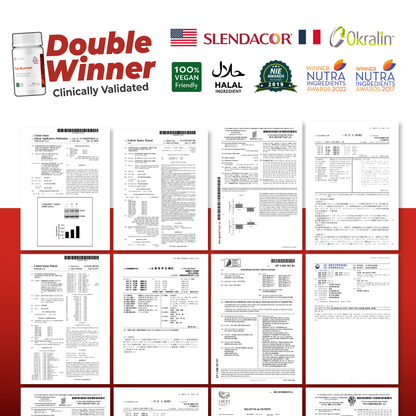 Dr. Ann Fat Burner Slimming Supplement for Weight Loss - 30 Capsules