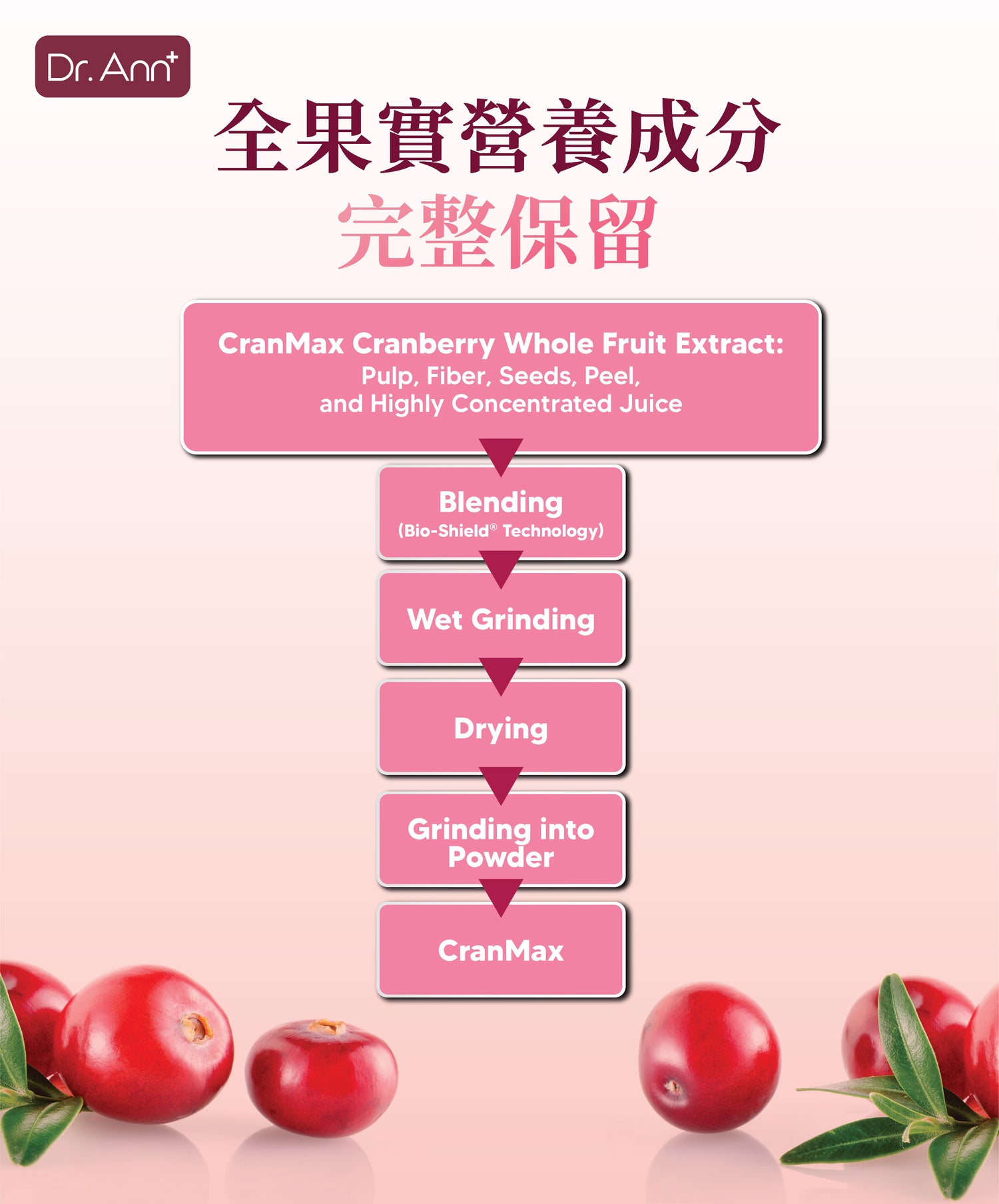 DrAnn HER Cran-Max 益生菌 30 粒蔓越莓益生菌